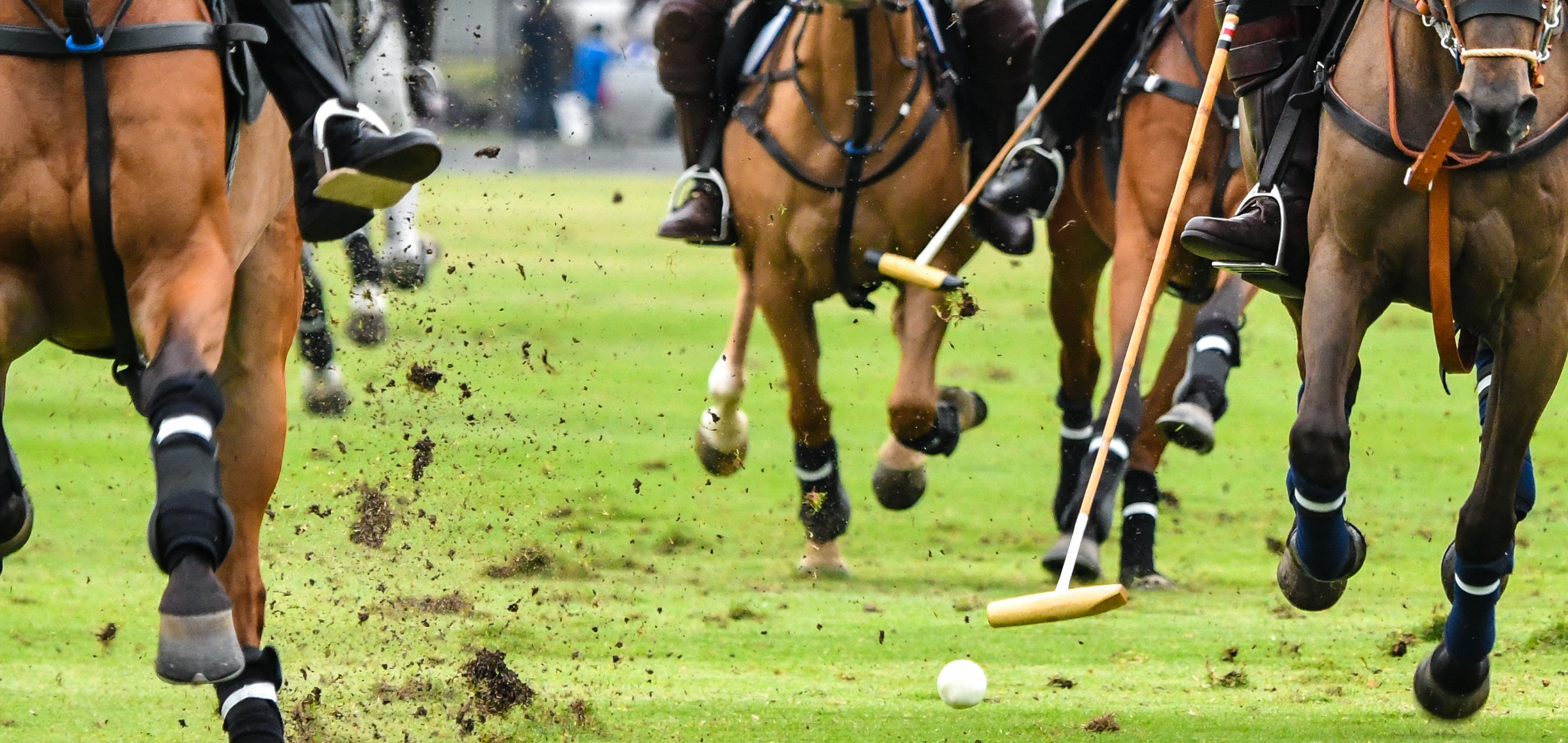 polo-paritdo-2396×1135